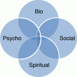 Bio, psychological,spriritual, and social components of trauma. 