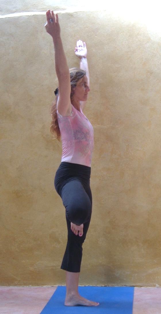 Beginning Yoga -Tree Pose