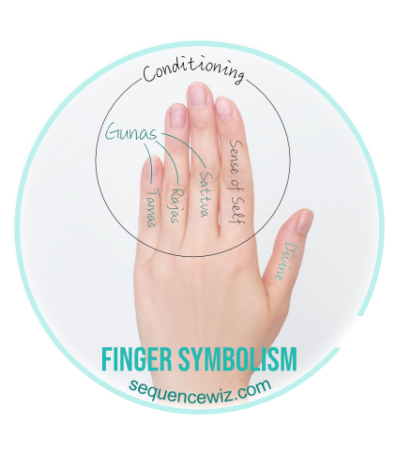 Middle finger represents sattva, ring finger represents rajas and little finger represents tamas