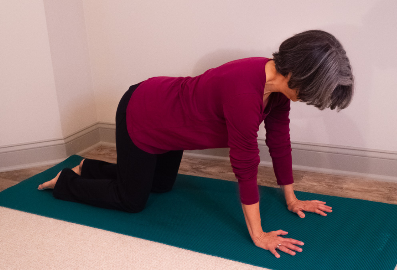 Cakravakasana Pose depicted here is great for spinal health and connecting breath to movement.