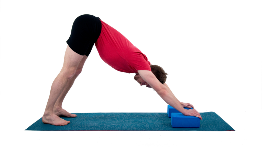 Downward Facing Dog with yoga blocks for support, Pose variations, Inversions
